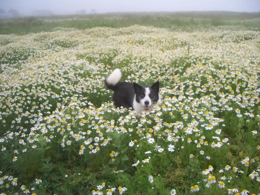 Kiritappuri Affittacamere Hokkaido Giappone