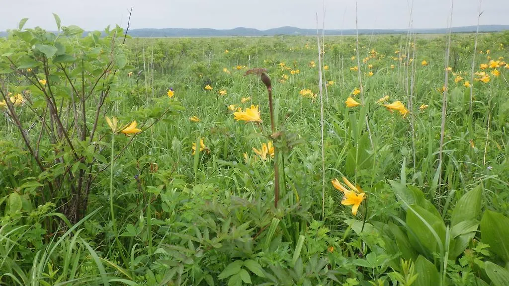 Kiritappuri Affittacamere Hokkaido 0*,