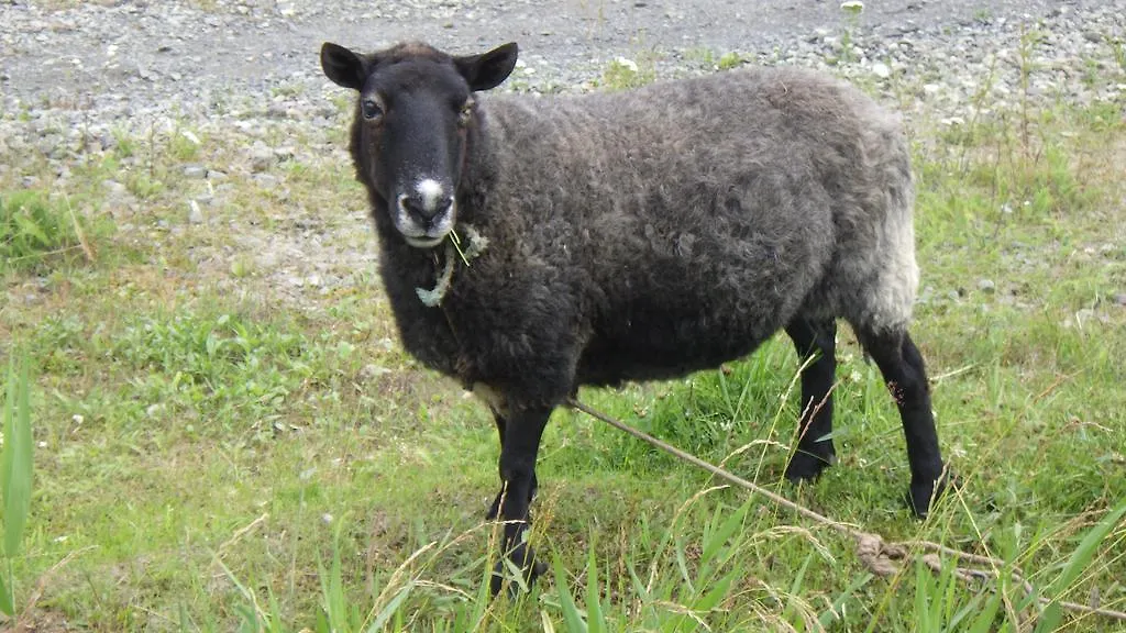 Kiritappuri Affittacamere Hokkaido